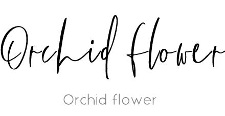 Orchid flower